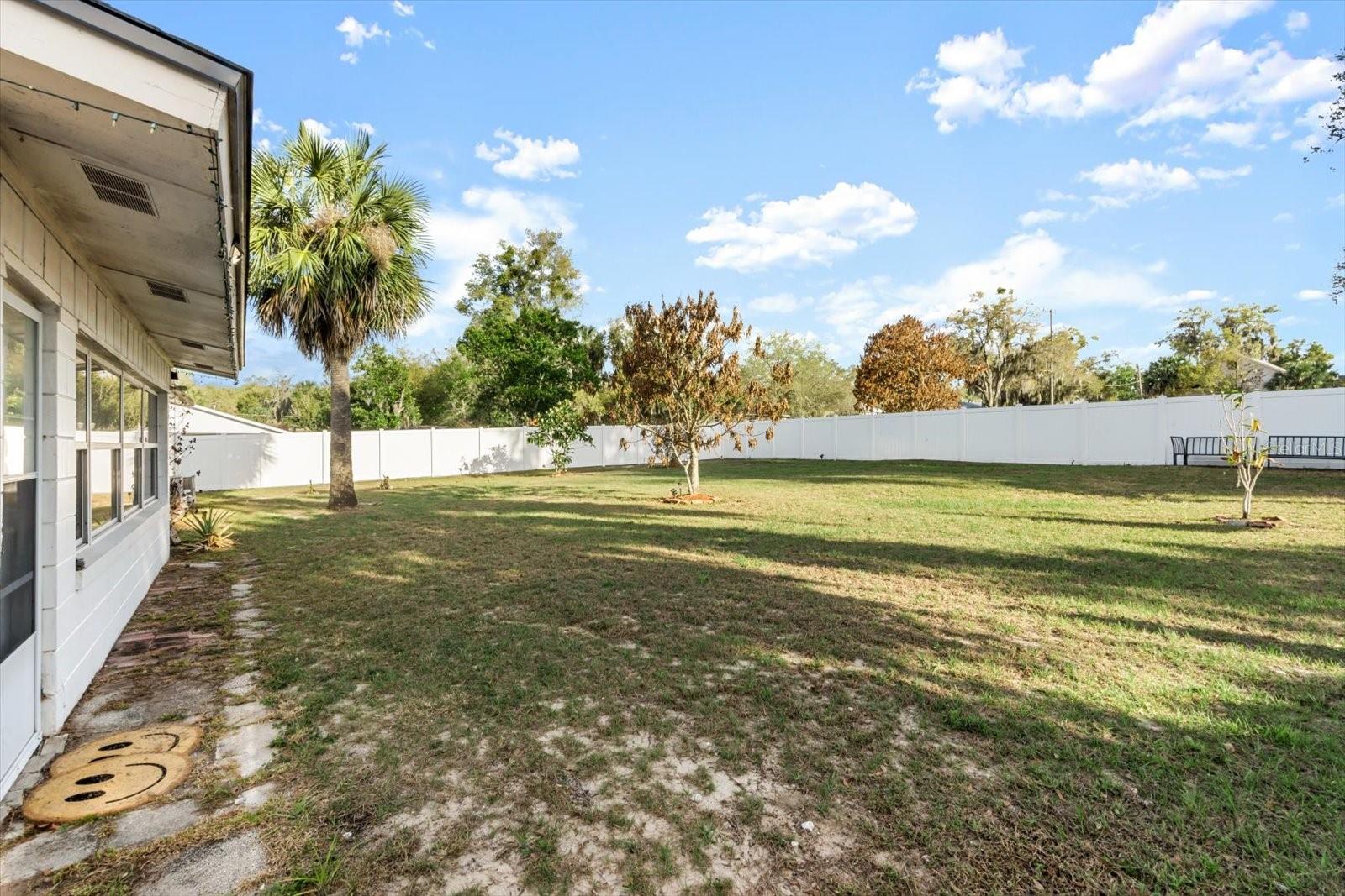 820 E CLIFFORD AVE, EUSTIS, FL, 32726