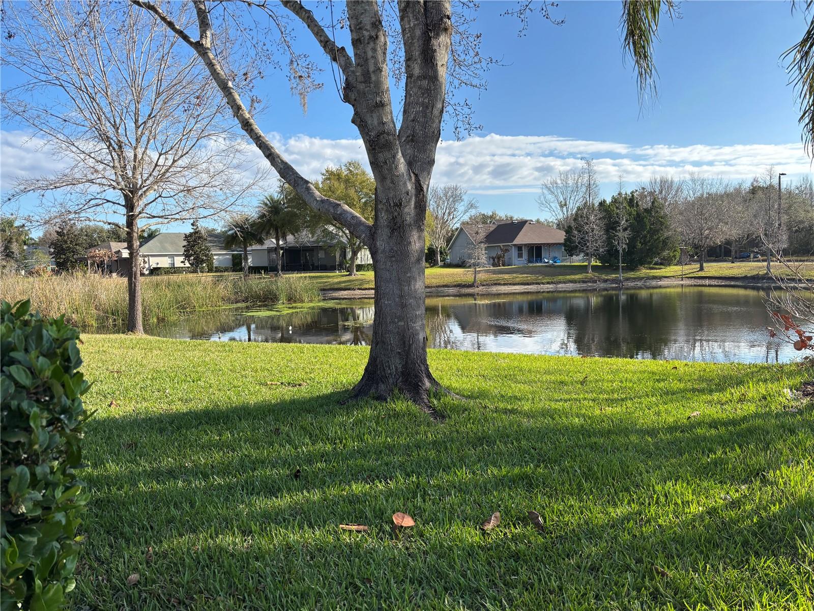 8214 LAGERFELD DR, LAND O LAKES, FL, 34637
