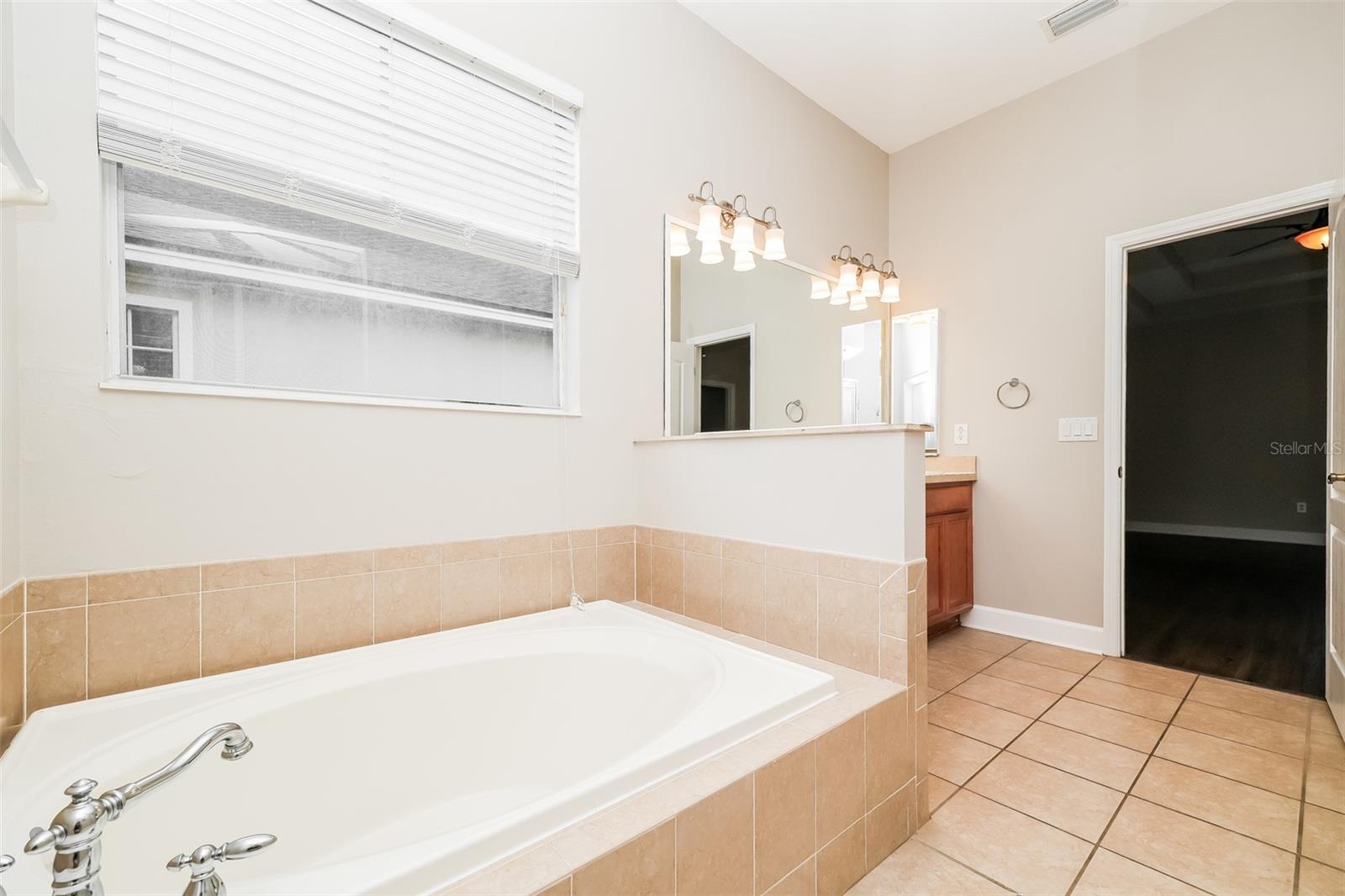 8214 LAGERFELD DR, LAND O LAKES, FL, 34637