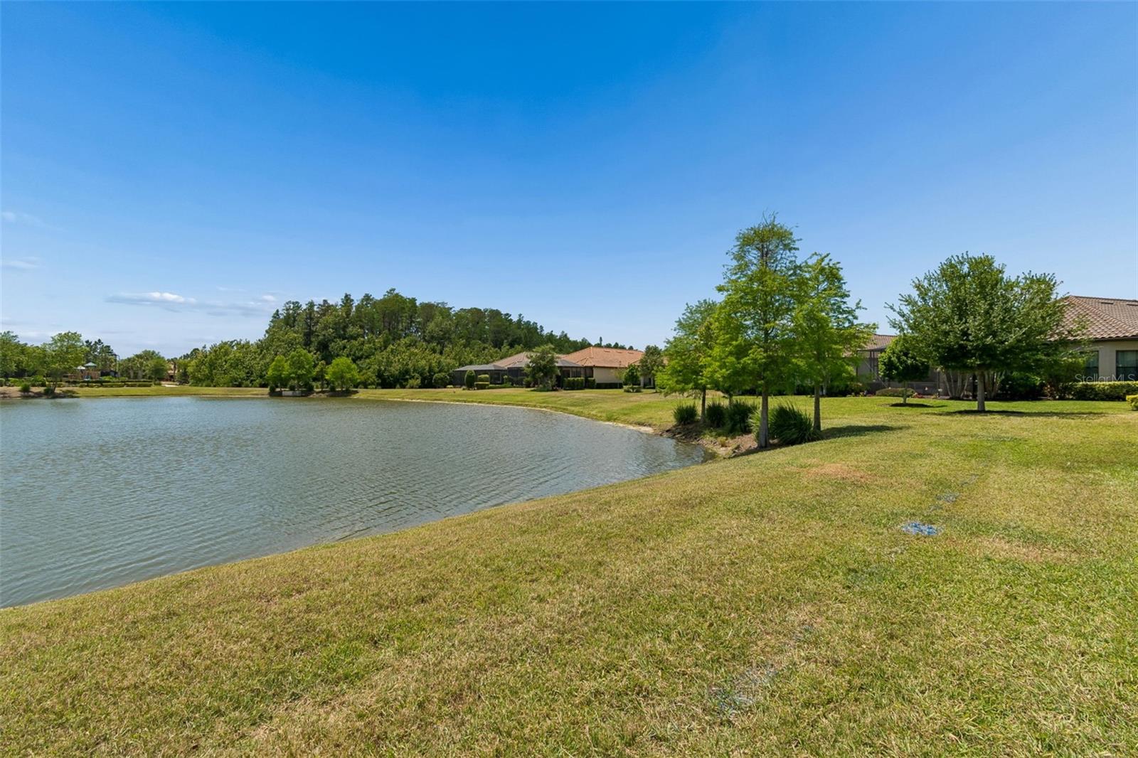 11318 JUGLANS DR, ODESSA, FL, 33556