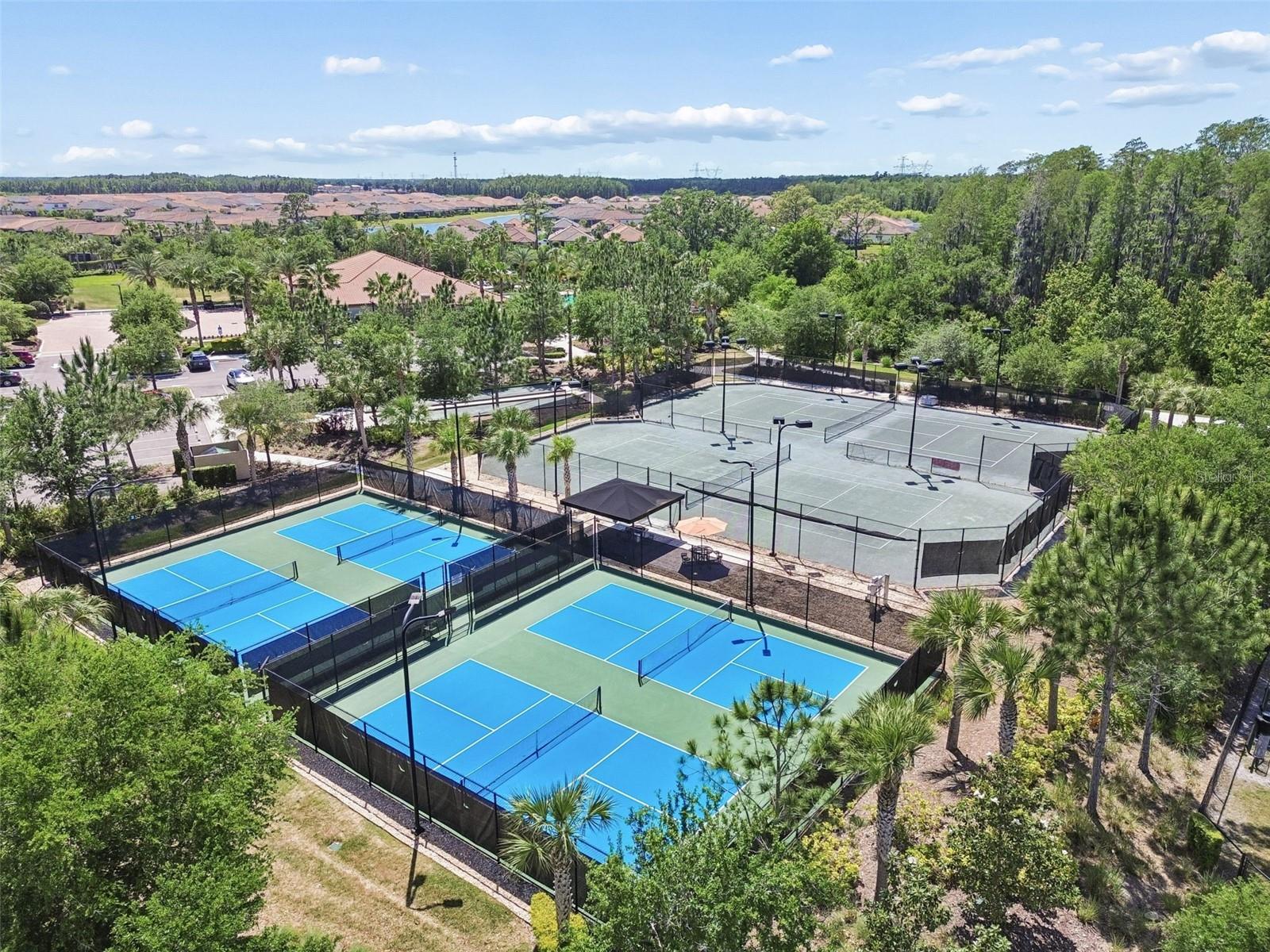 11318 JUGLANS DR, ODESSA, FL, 33556