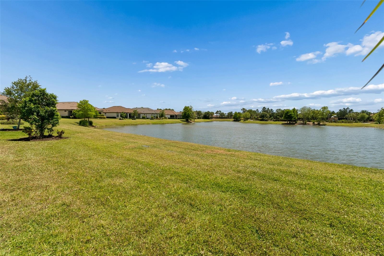 11318 JUGLANS DR, ODESSA, FL, 33556