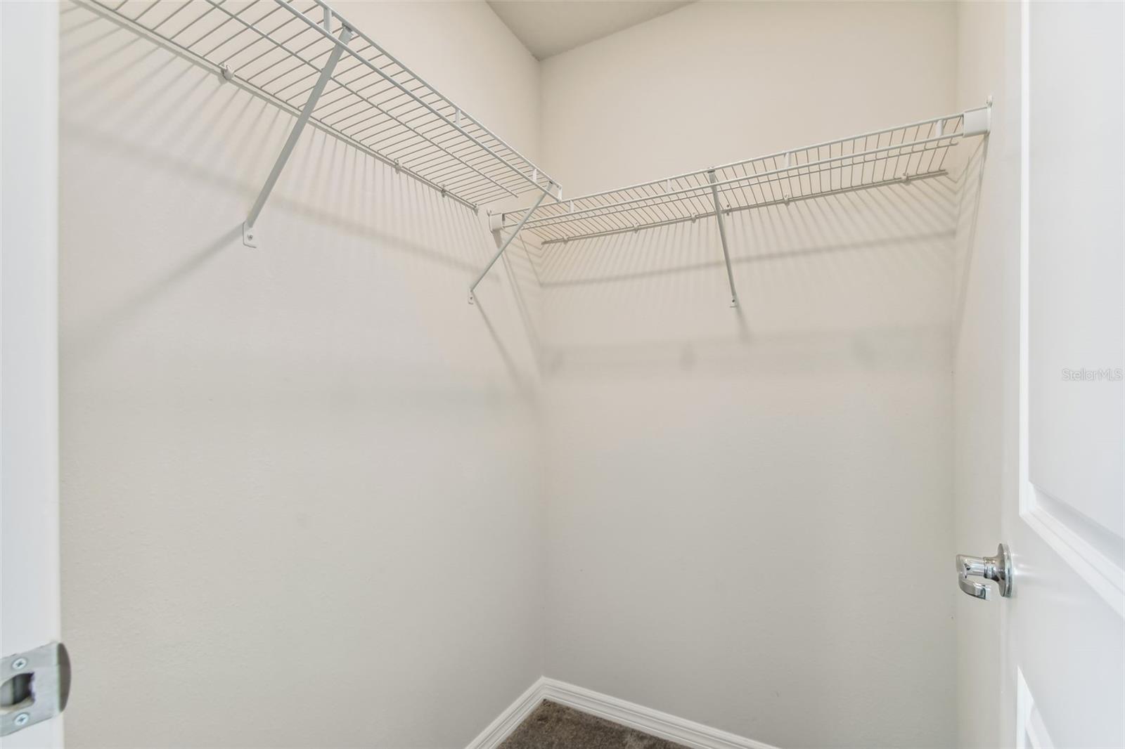 9806 REDWOOD HEIGHTS LOOP, THONOTOSASSA, FL, 33592