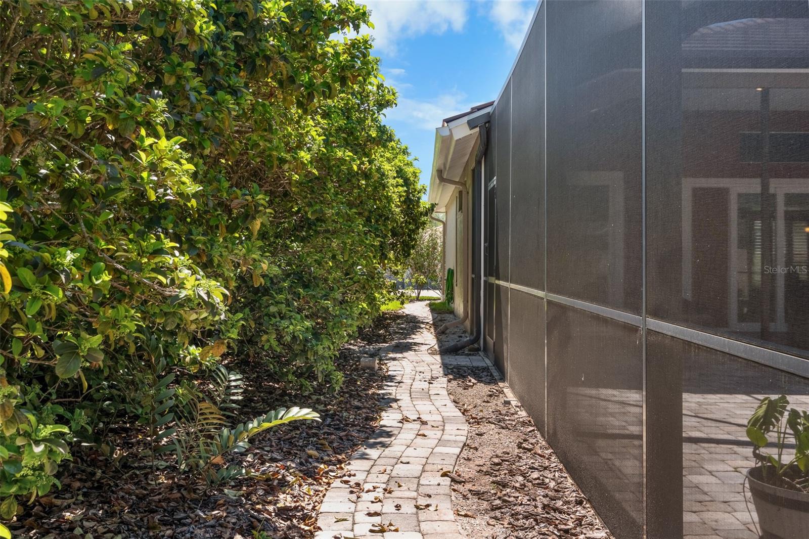 3897 TALAH DR, PALM HARBOR, FL, 34684