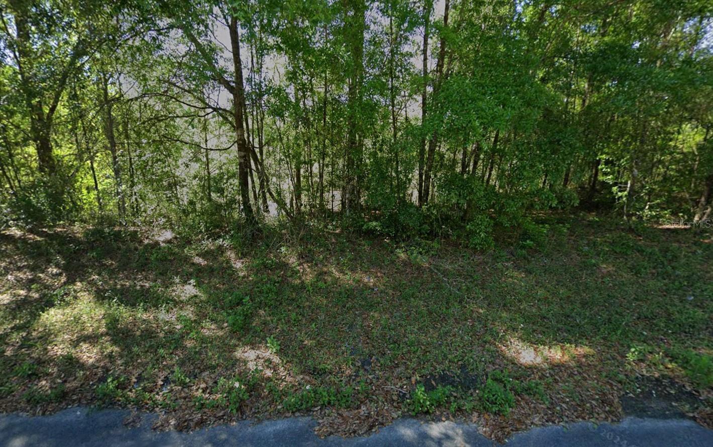 212 DOLPHIN CIR, MIDDLEBURG, FL, 32068
