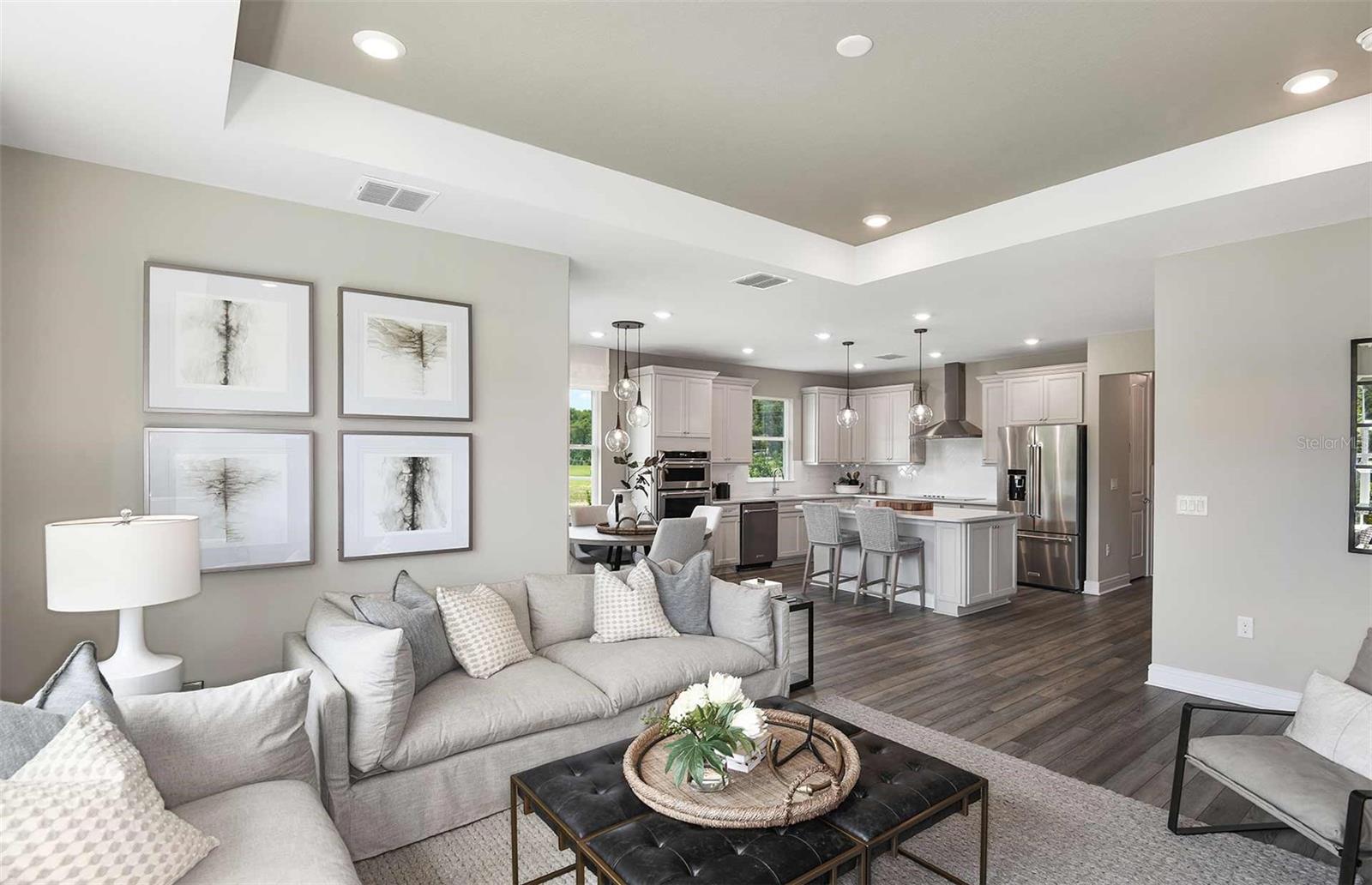 9804 REDWOOD HEIGHTS LOOP, THONOTOSASSA, FL, 33592