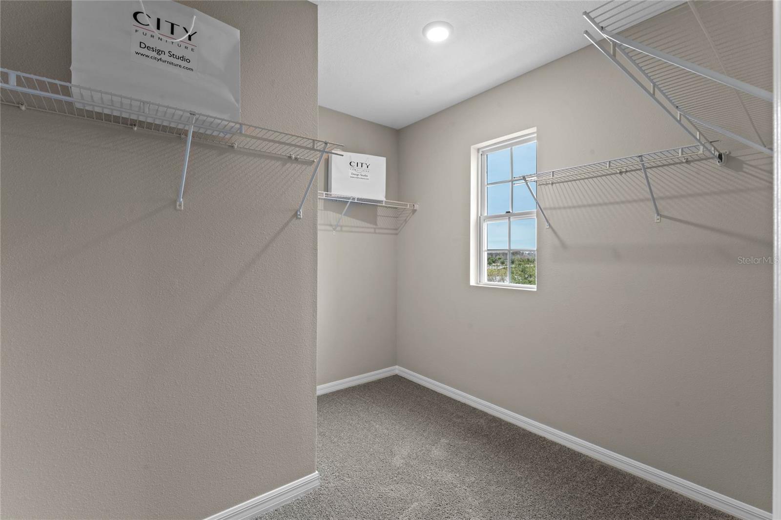 2322 ASHWOOD BLUFF DR, OCOEE, FL, 34761