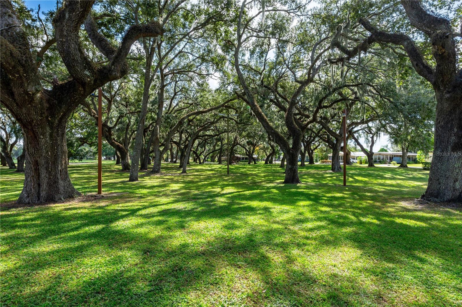 5541 BENTON ST, ZEPHYRHILLS, FL, 33542