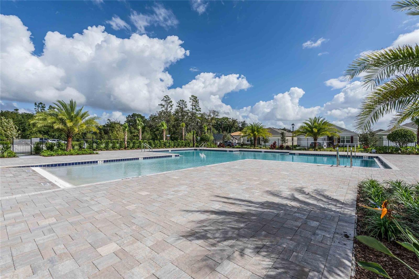 2339 ASHWOOD BLUFF DR, OCOEE, FL, 34761