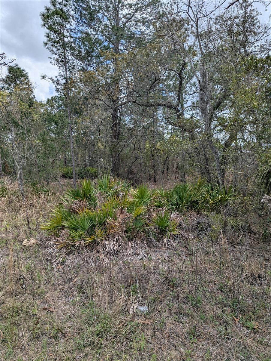 0 MAZETTE RD, WEEKI WACHEE, FL, 34613