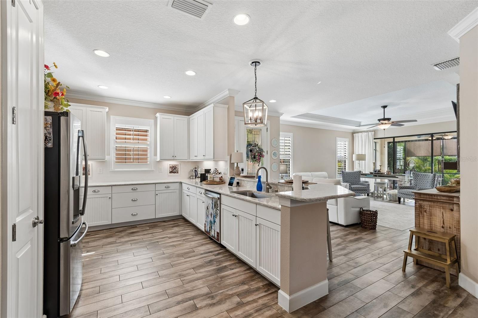11658 CALLISIA DR, ODESSA, FL, 33556