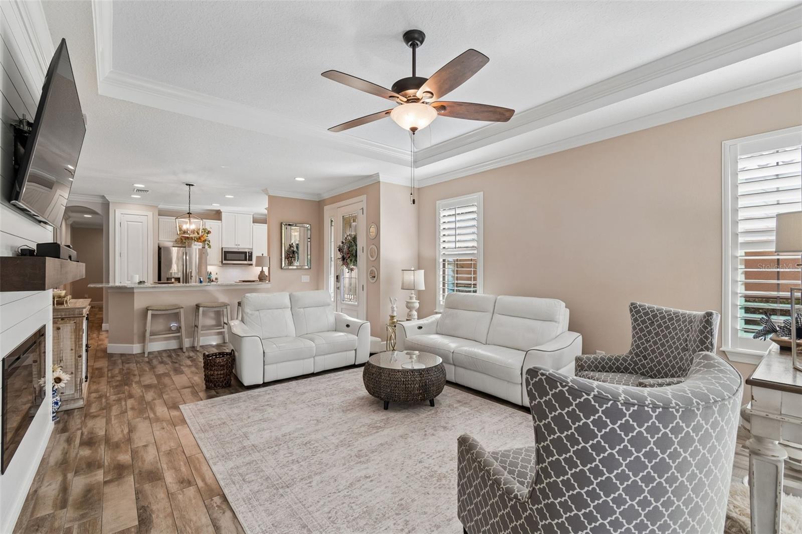 11658 CALLISIA DR, ODESSA, FL, 33556