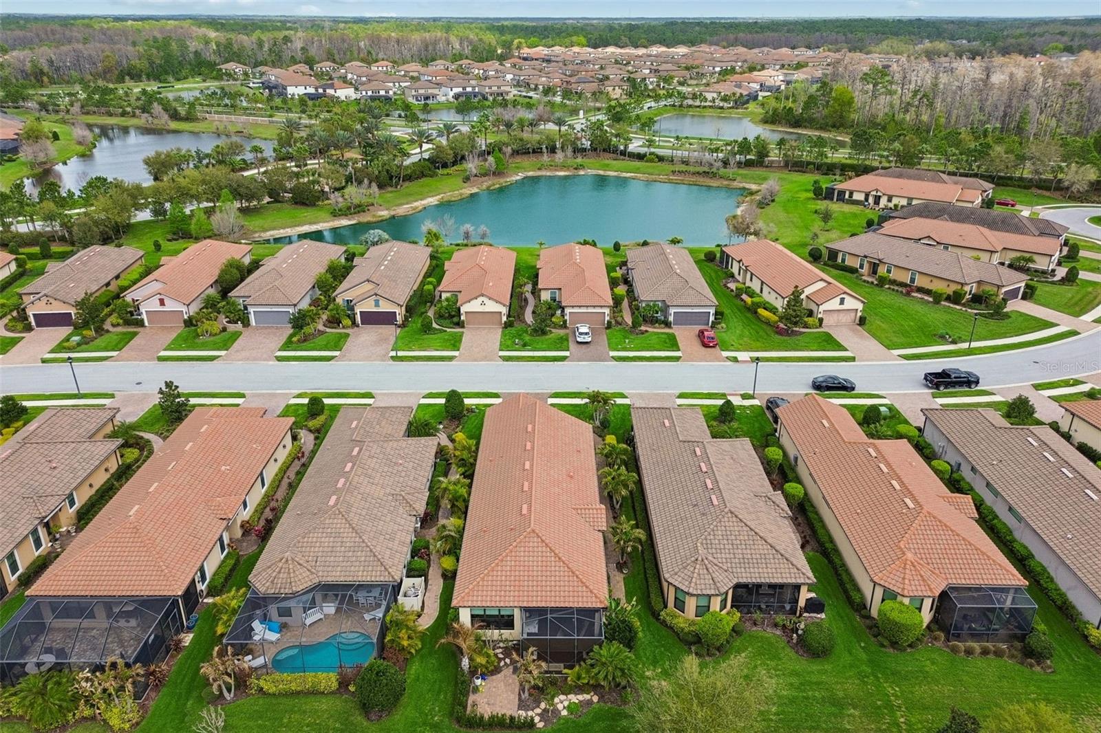 11658 CALLISIA DR, ODESSA, FL, 33556