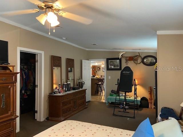 2505 WILLIAMS RD, PLANT CITY, FL, 33565