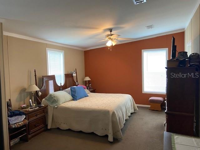 2505 WILLIAMS RD, PLANT CITY, FL, 33565