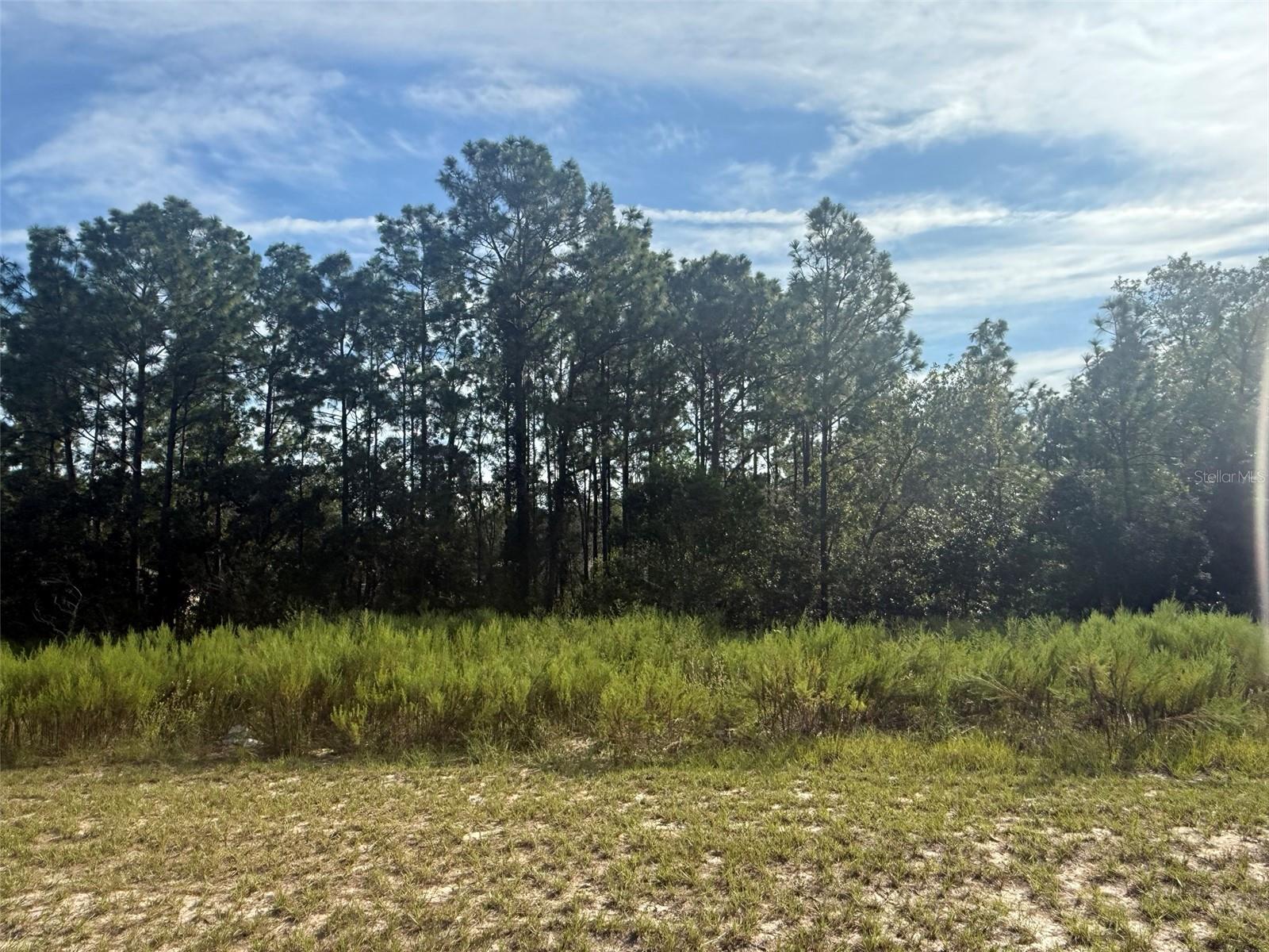 TBD SW 135TH STREET RD, OCALA, FL, 34473