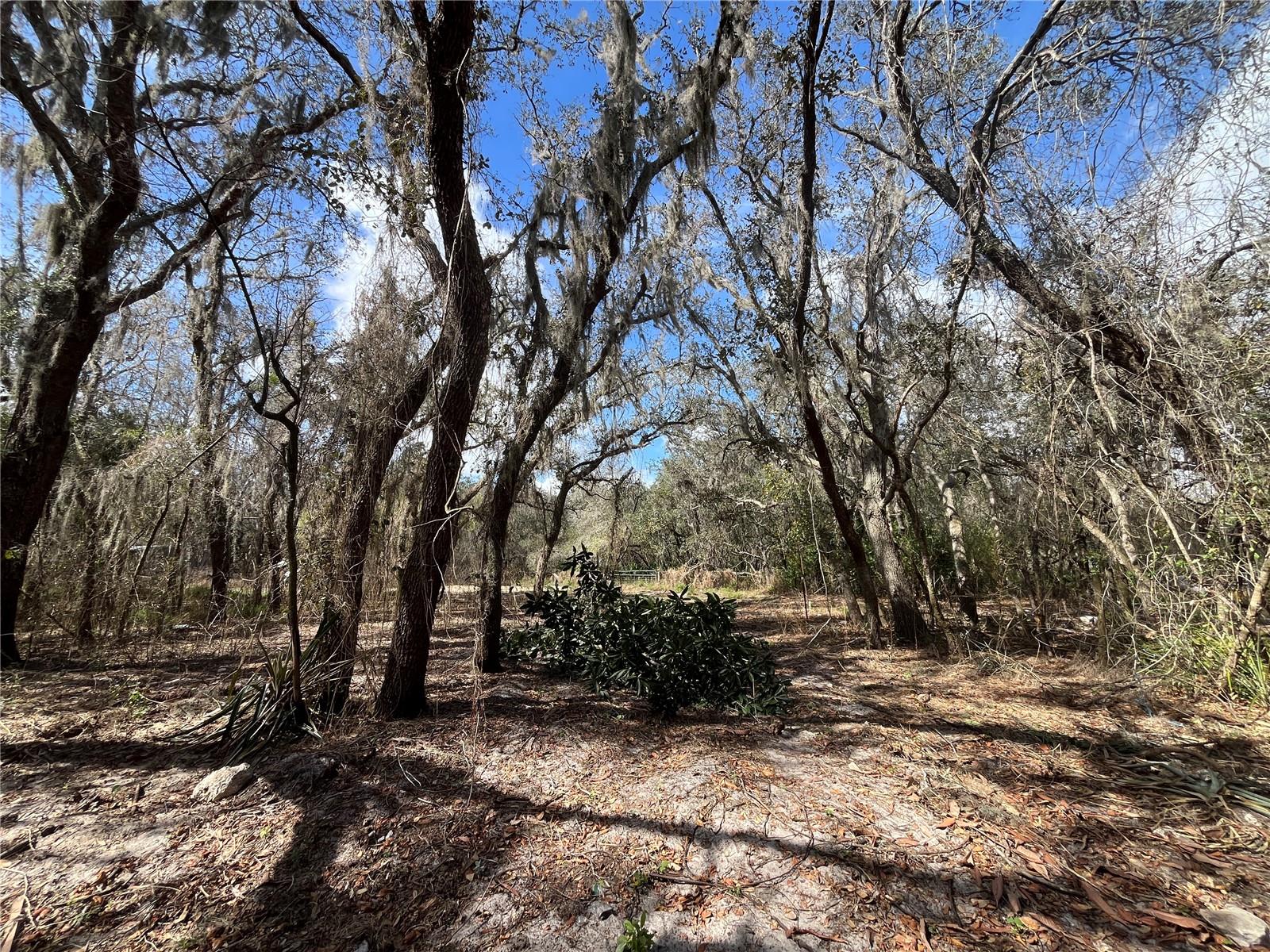2540 TIGER CREEK TRL, LAKE WALES, FL, 33898