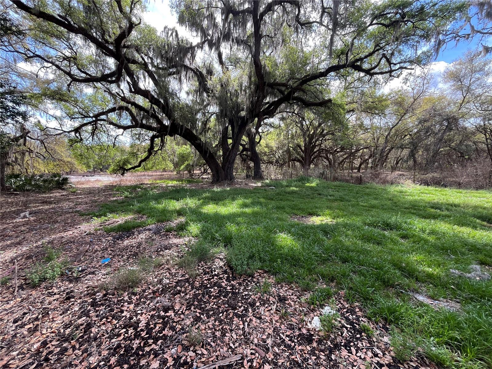 2540 TIGER CREEK TRL, LAKE WALES, FL, 33898