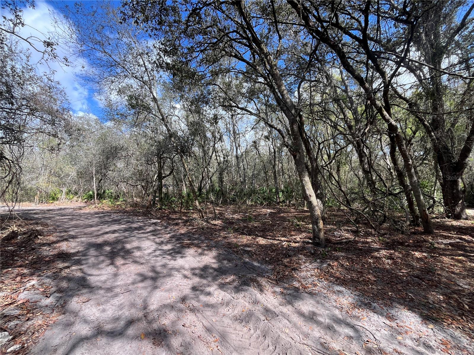 2540 TIGER CREEK TRL, LAKE WALES, FL, 33898