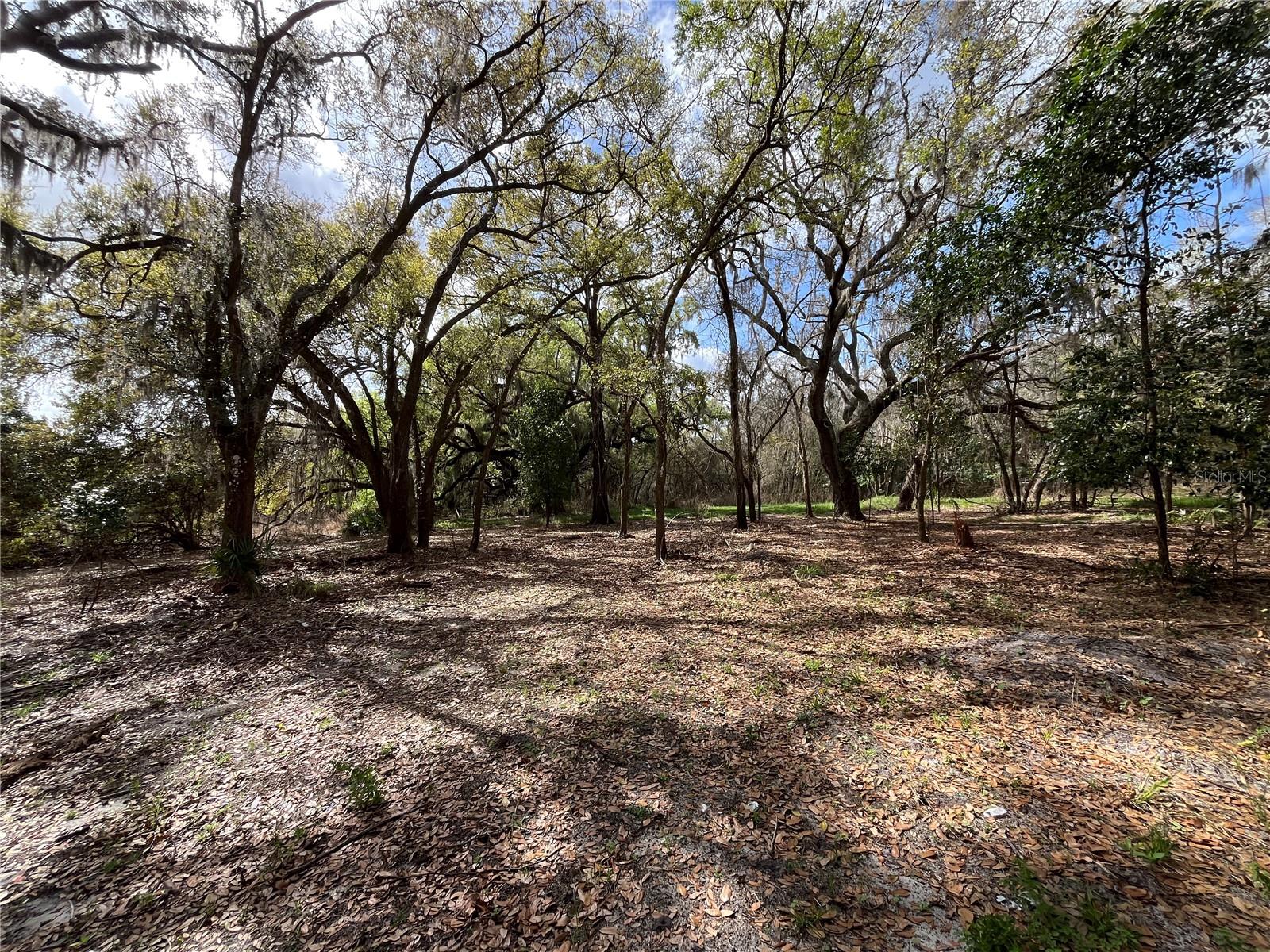 2540 TIGER CREEK TRL, LAKE WALES, FL, 33898