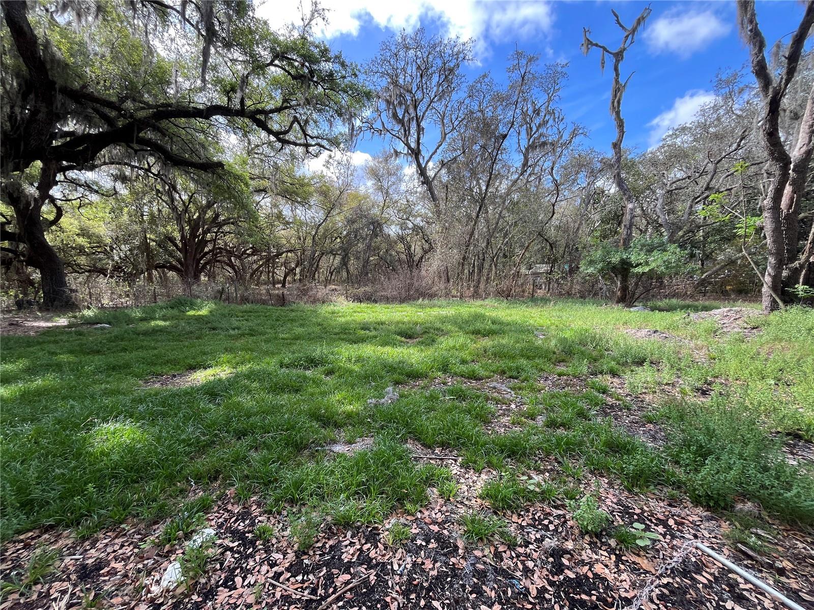 2540 TIGER CREEK TRL, LAKE WALES, FL, 33898