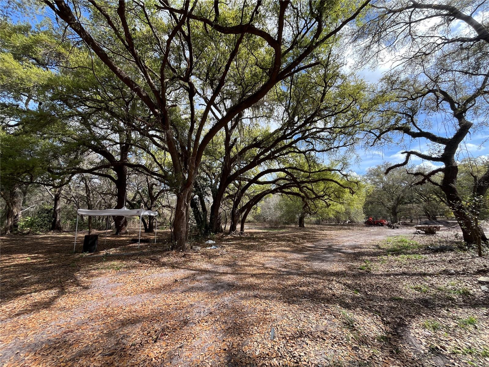 2540 TIGER CREEK TRL, LAKE WALES, FL, 33898