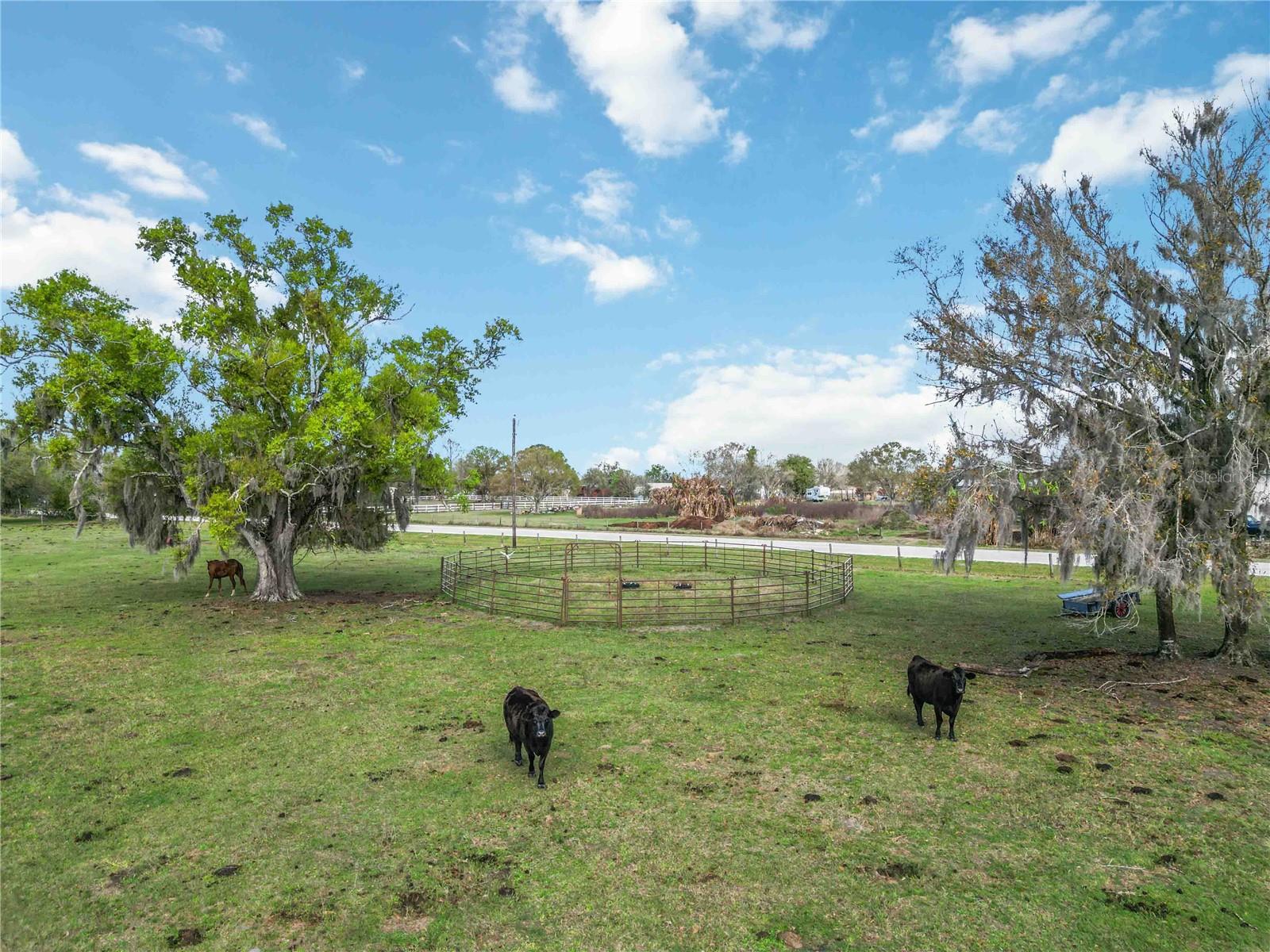 16031 WINBURN DR S, SARASOTA, FL, 34240