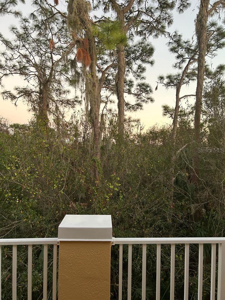 8807 WHITE SAGE LOOP, LAKEWOOD RANCH, FL, 34202