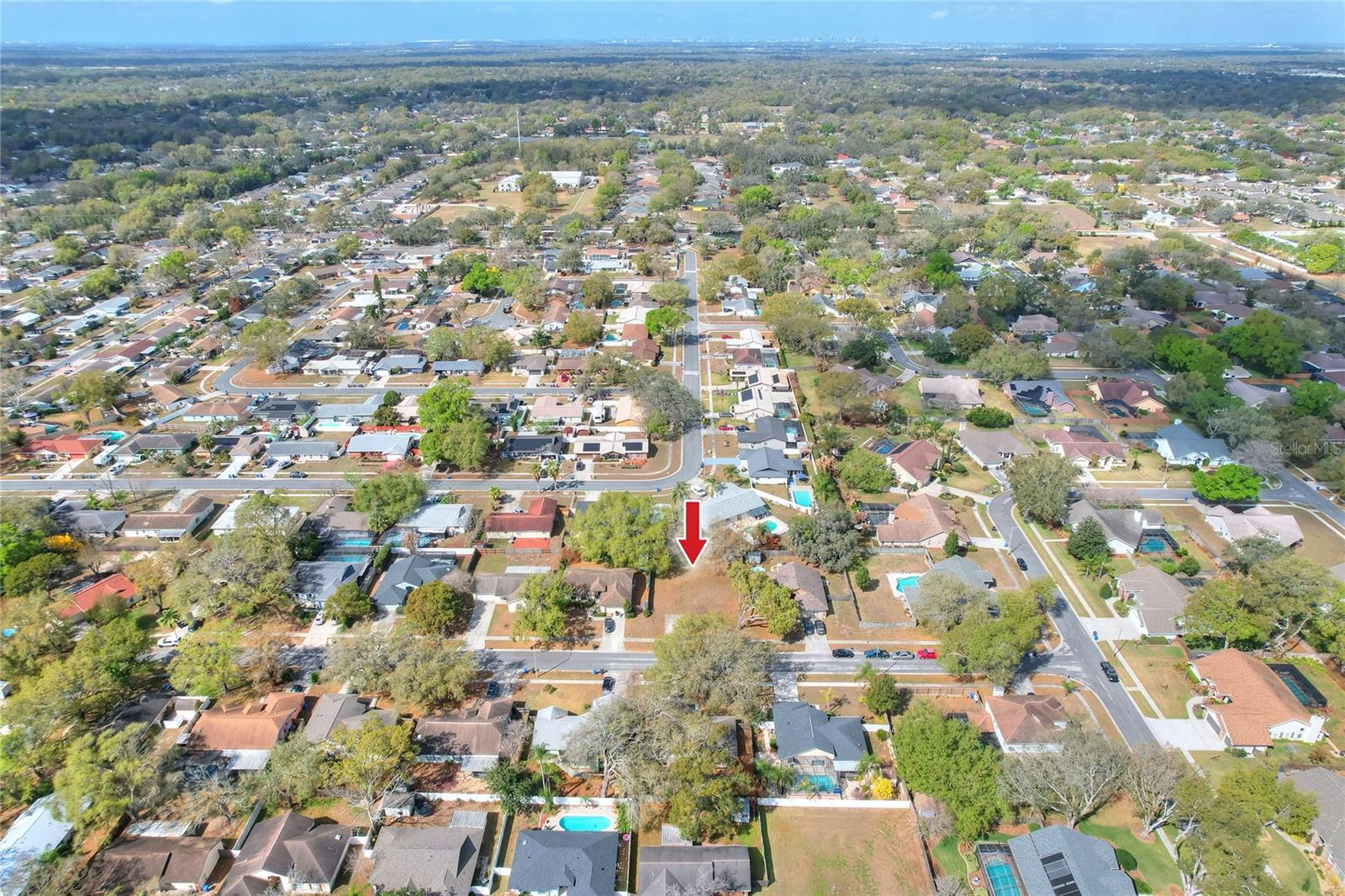 4103 YELLOWWOOD DR, VALRICO, FL, 33594