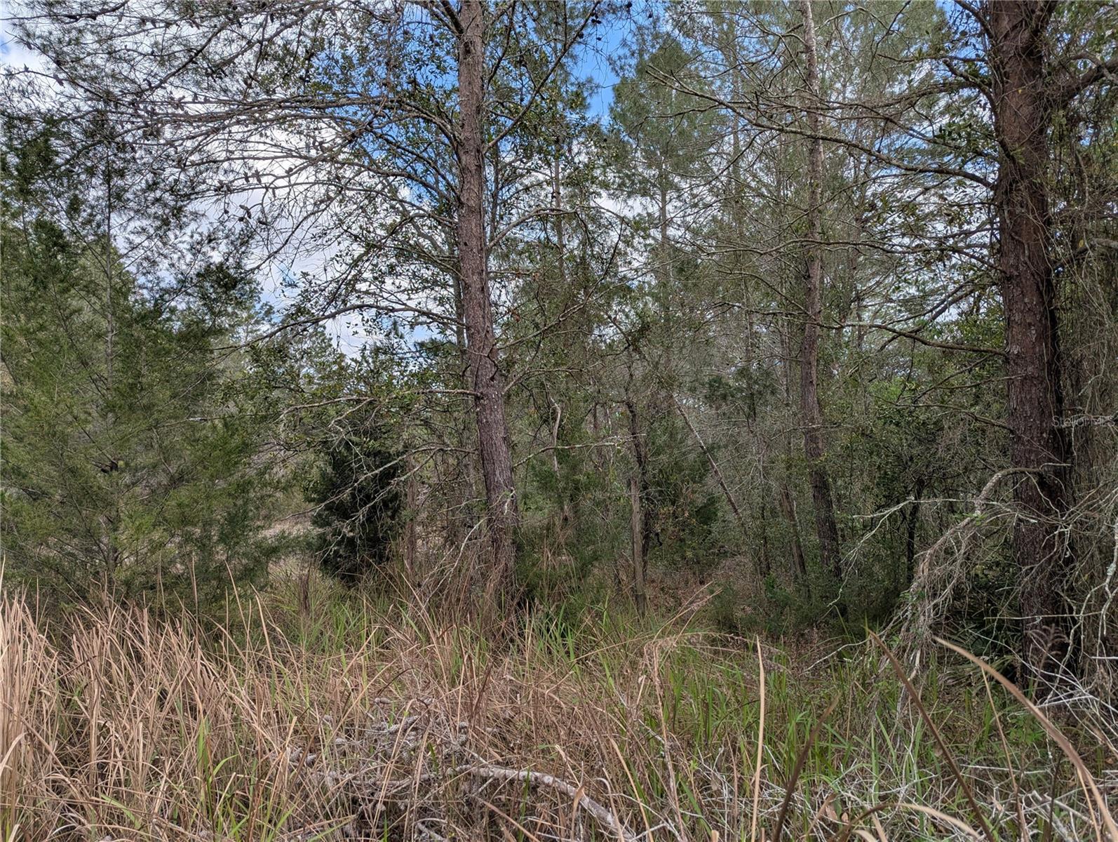 0 GANNET AVE, WEEKI WACHEE, FL, 34613