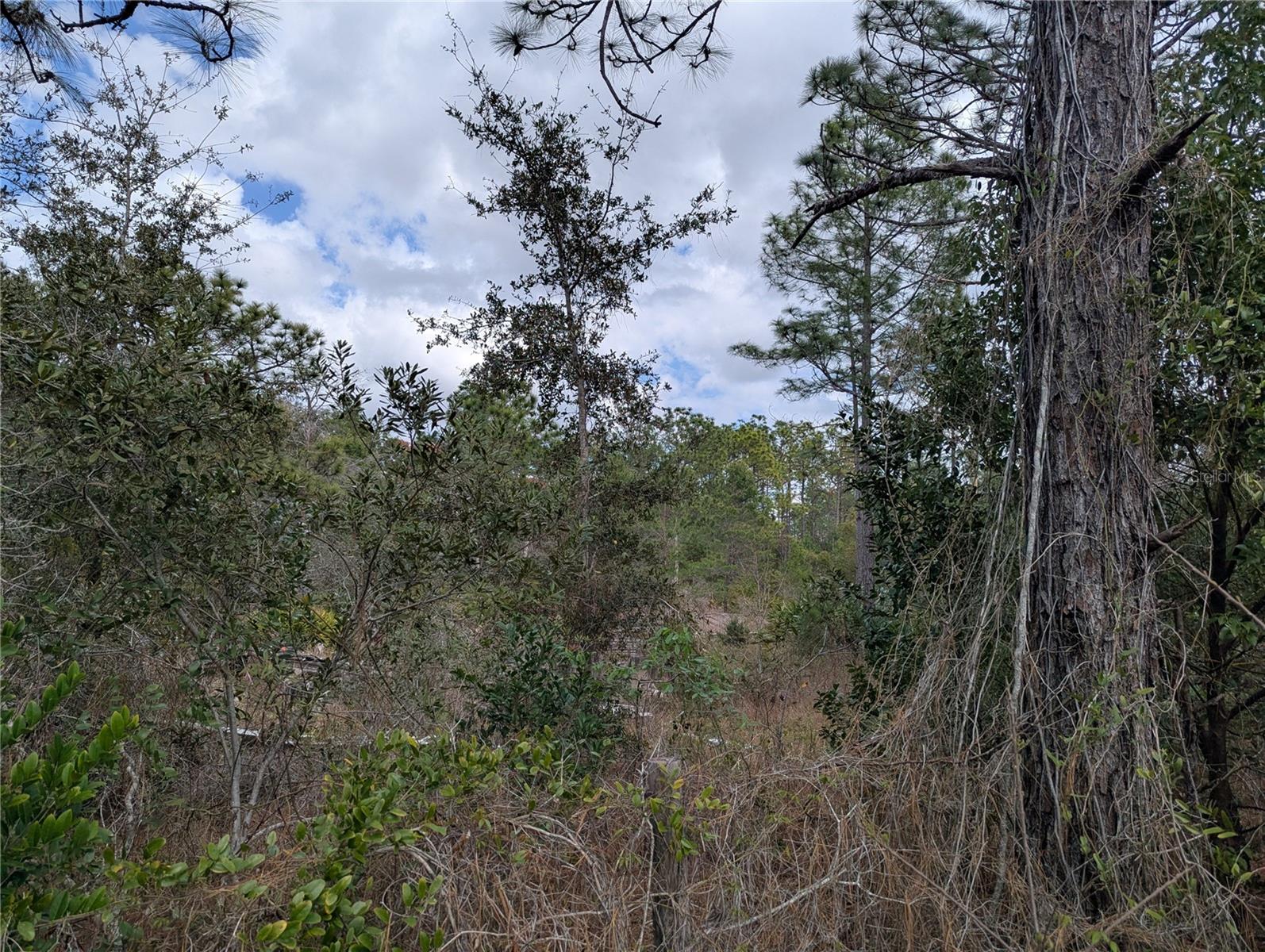 0 GANNET AVE, WEEKI WACHEE, FL, 34613