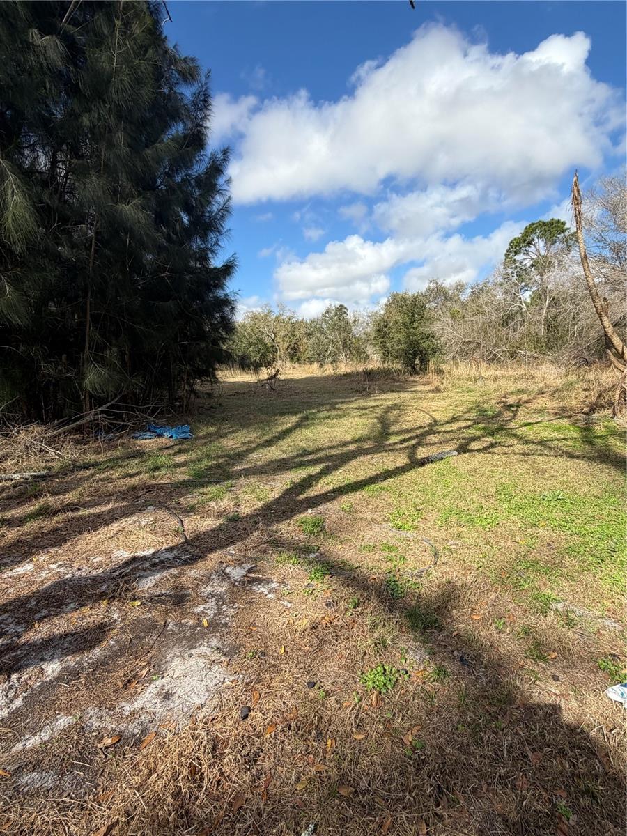 1211 NW EUCALYPTUS AVE, ARCADIA, FL, 34266