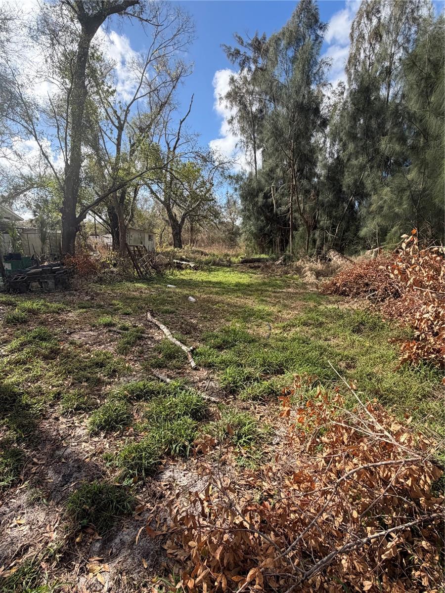 1211 NW EUCALYPTUS AVE, ARCADIA, FL, 34266