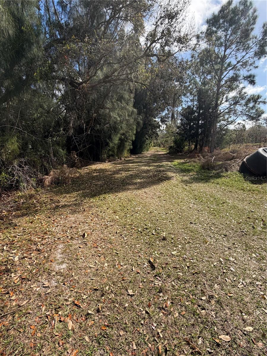 1211 NW EUCALYPTUS AVE, ARCADIA, FL, 34266