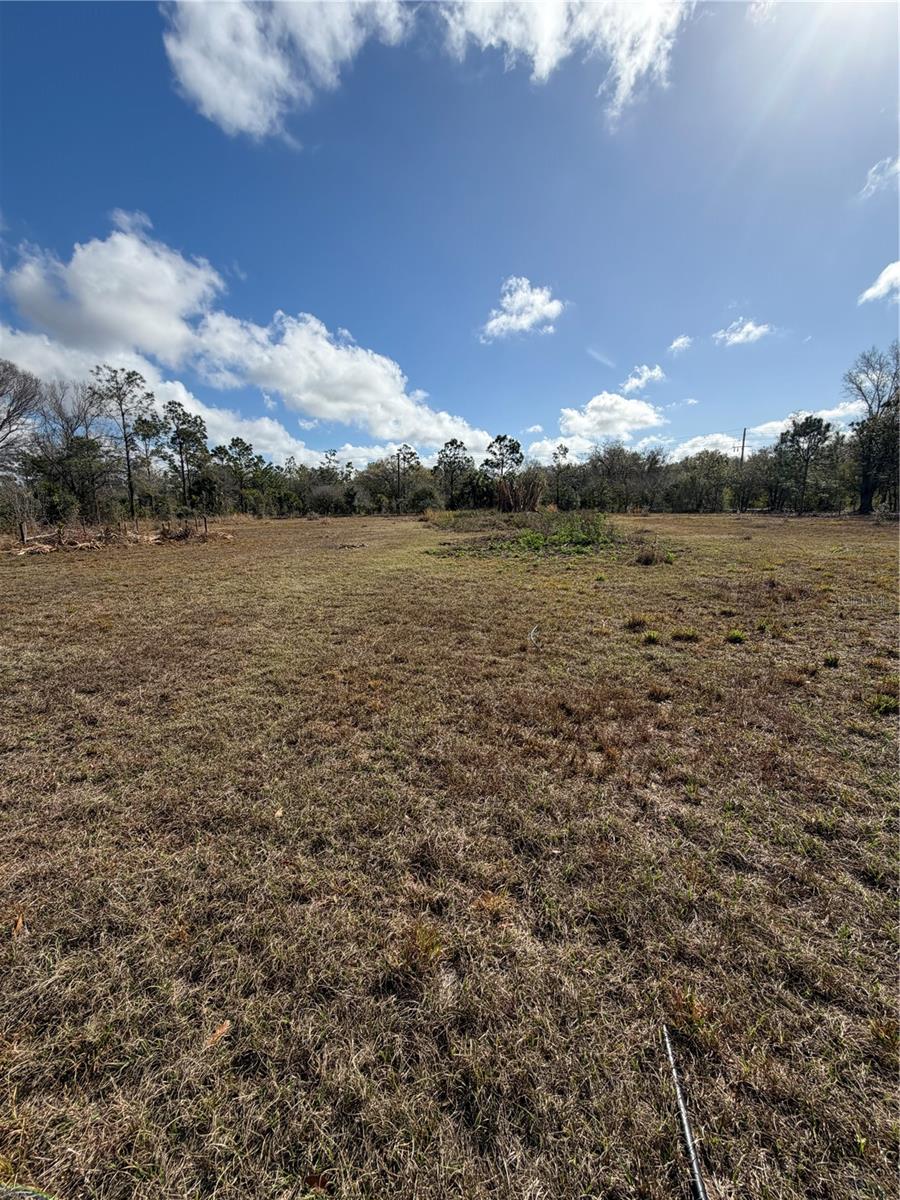 1211 NW EUCALYPTUS AVE, ARCADIA, FL, 34266