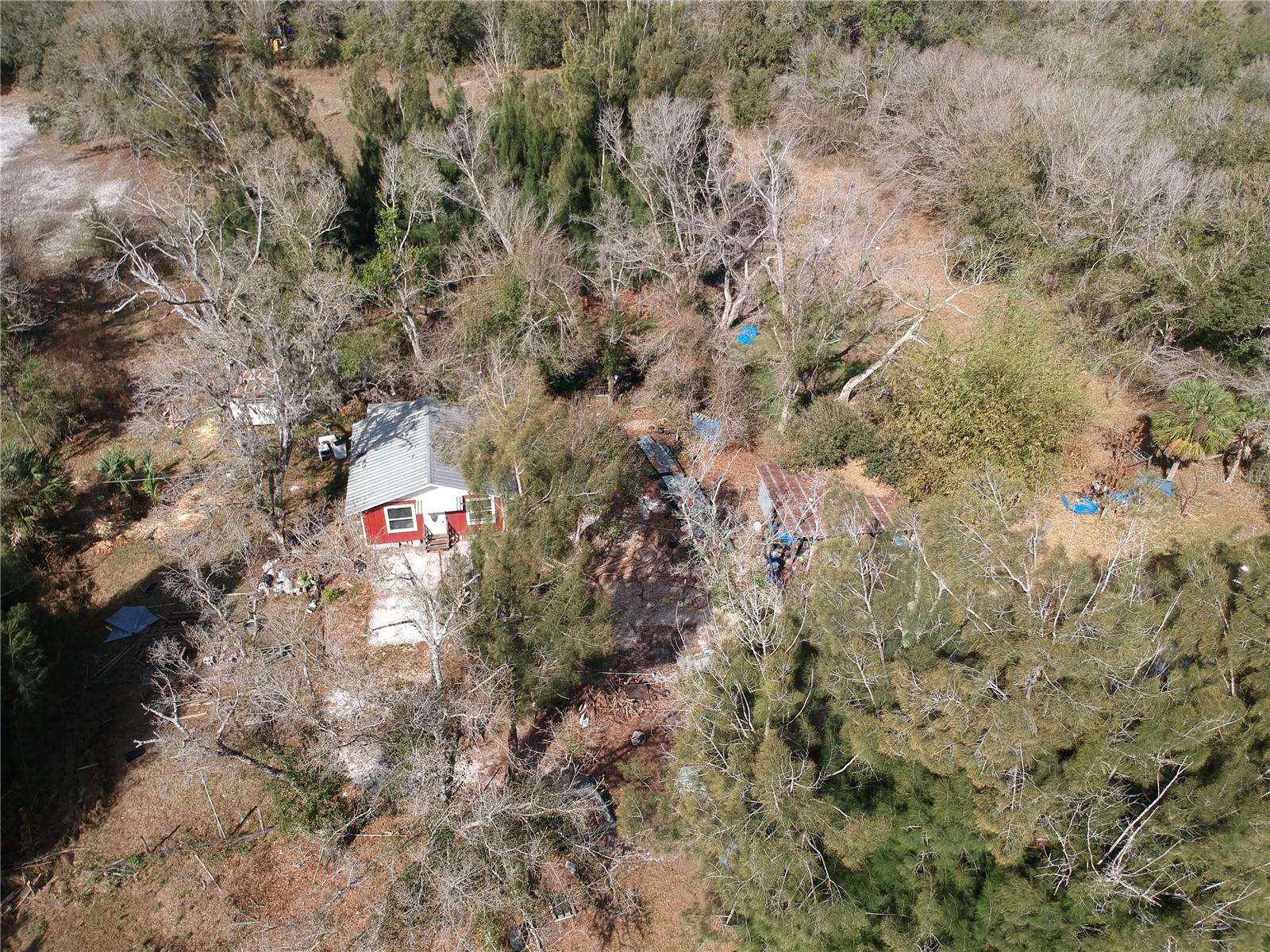 1211 NW EUCALYPTUS AVE, ARCADIA, FL, 34266