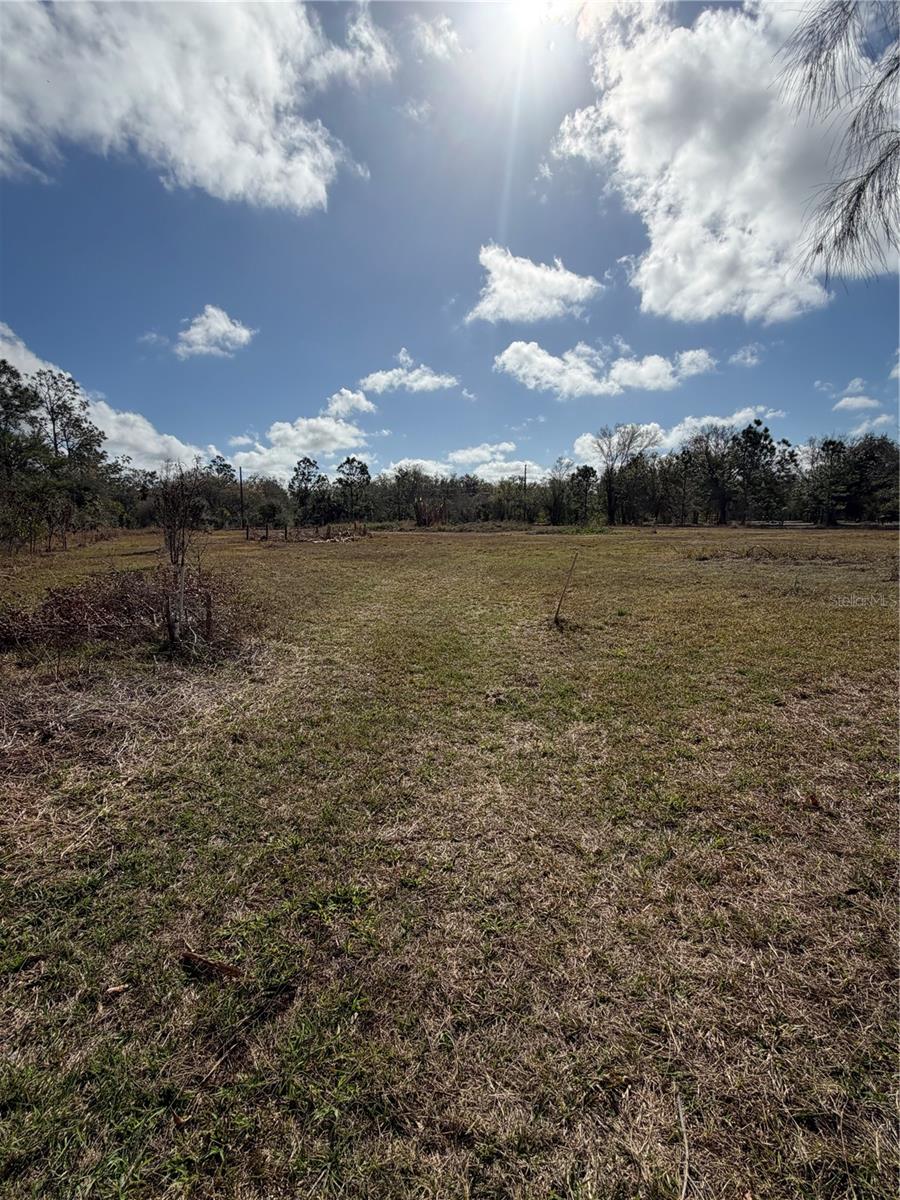 1211 NW EUCALYPTUS AVE, ARCADIA, FL, 34266