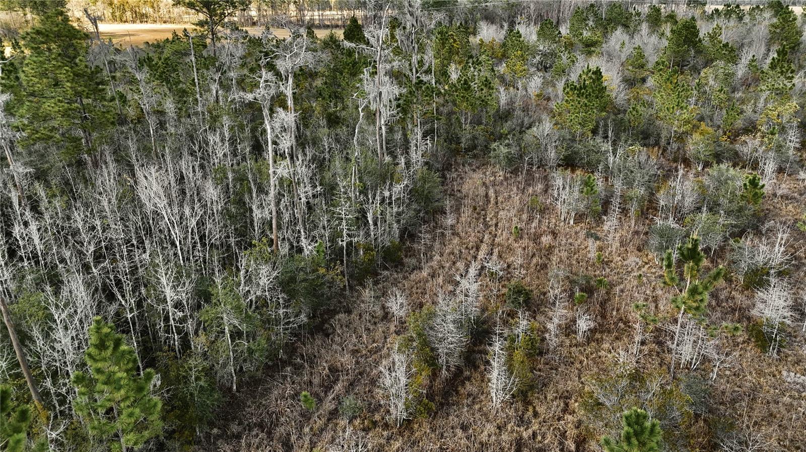 00 W MARKET RD, STARKE, FL, 32091