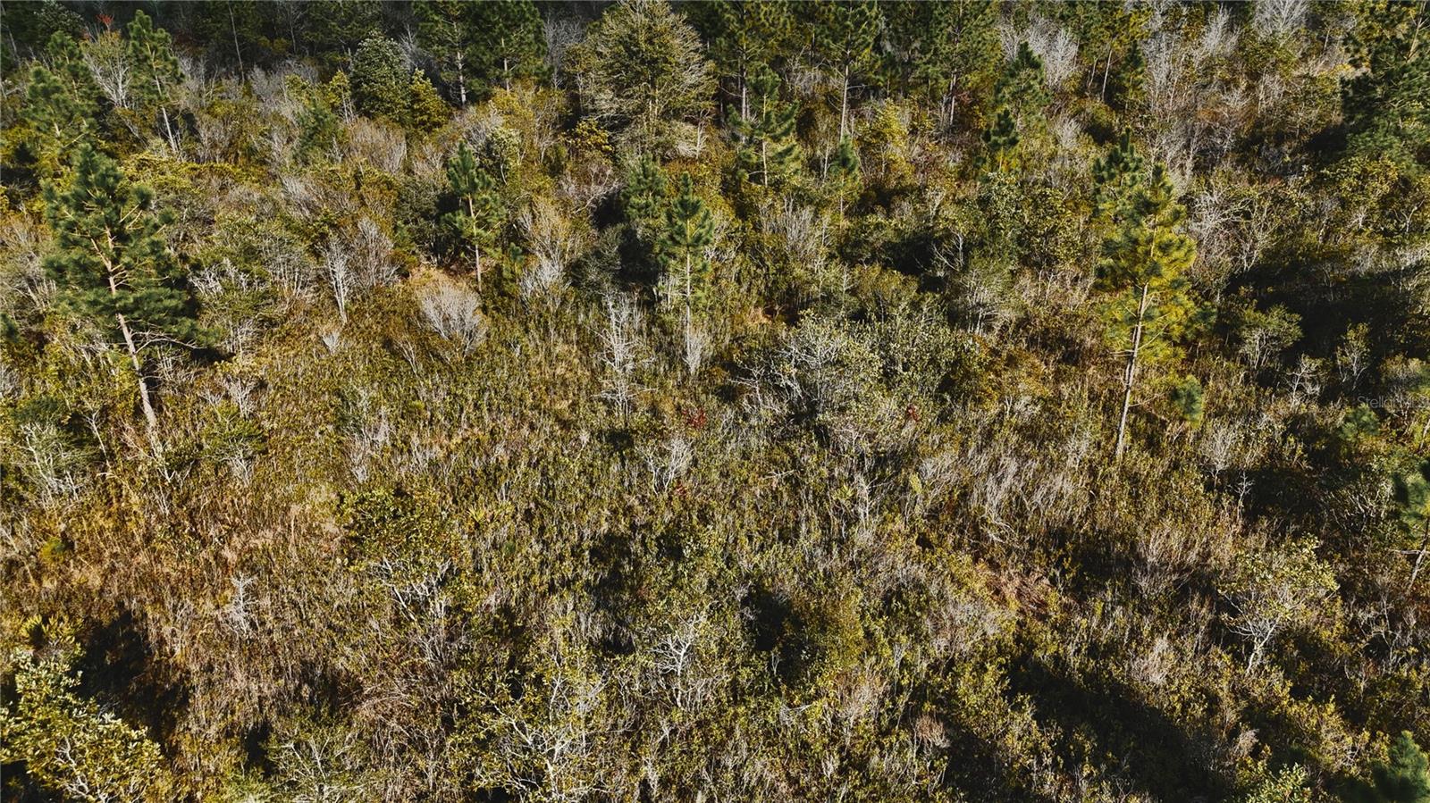00 W MARKET RD, STARKE, FL, 32091
