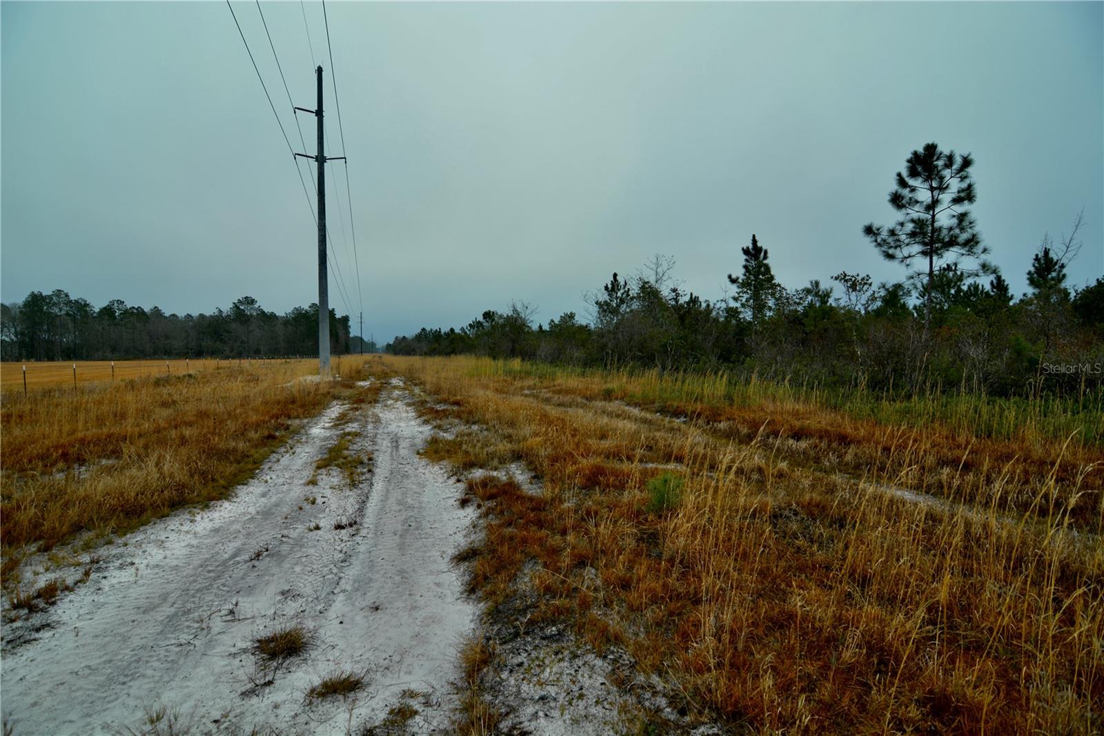 00 W MARKET RD, STARKE, FL, 32091