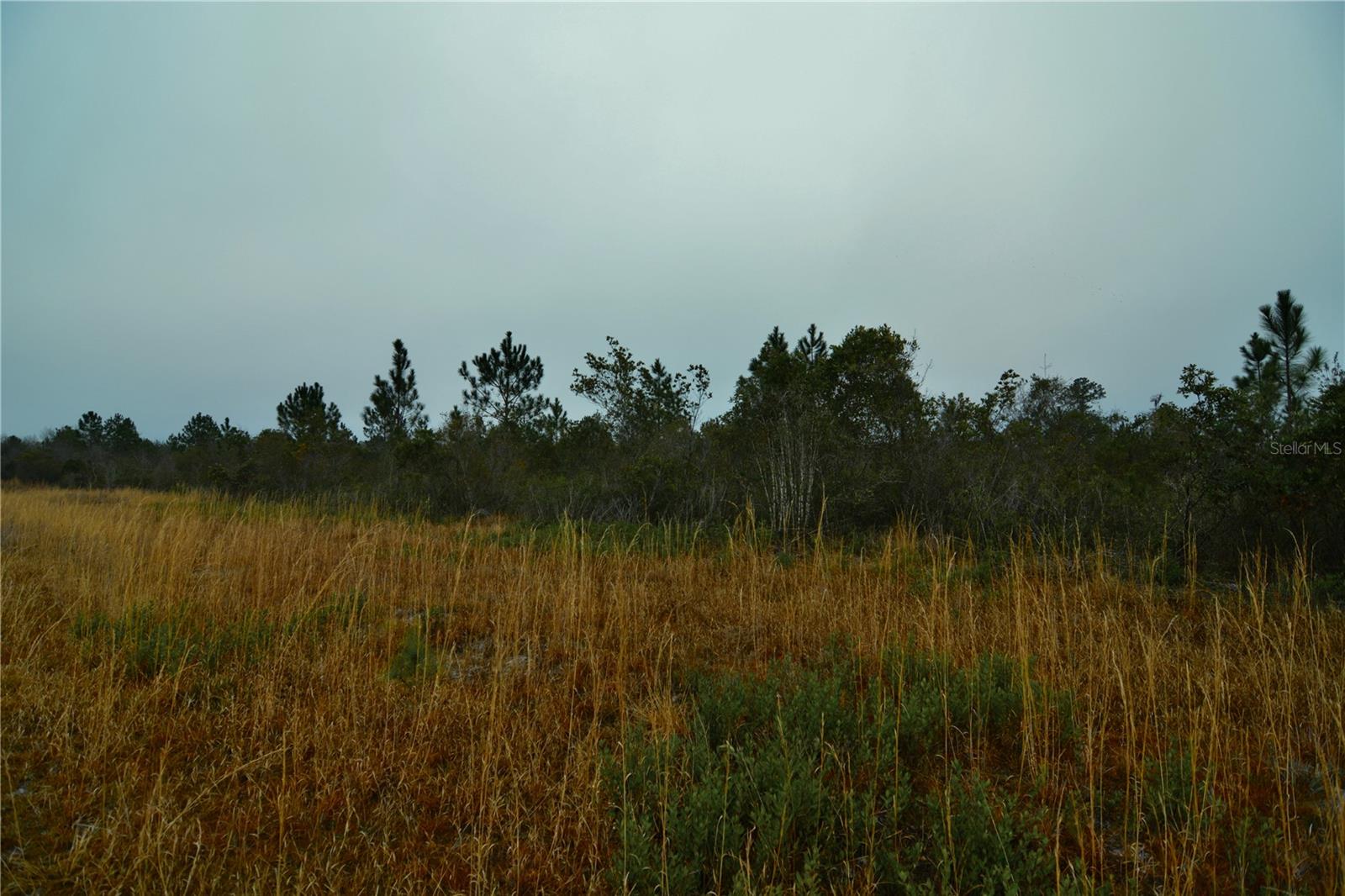 00 W MARKET RD, STARKE, FL, 32091