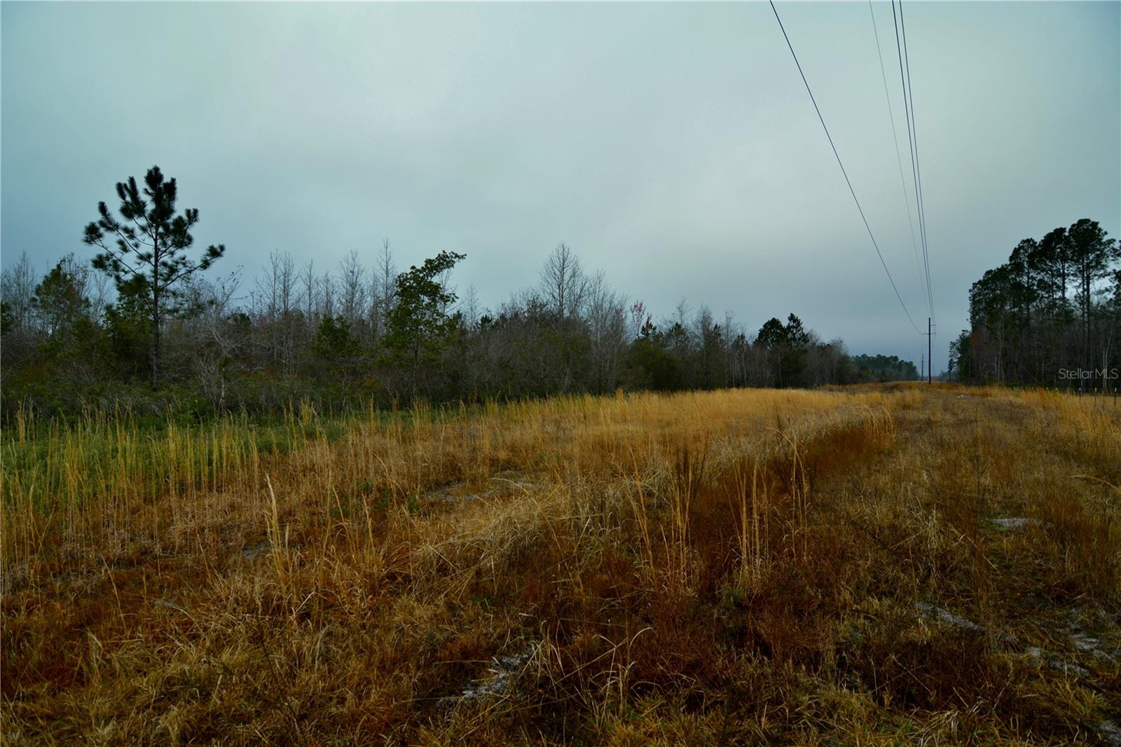 00 W MARKET RD, STARKE, FL, 32091