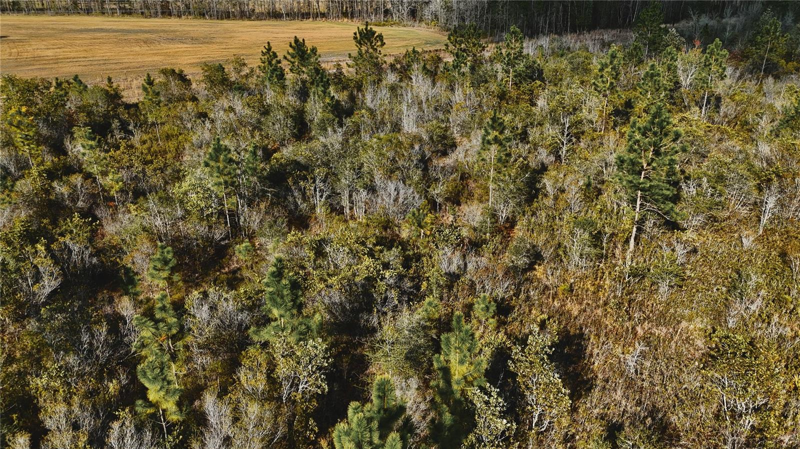 00 W MARKET RD, STARKE, FL, 32091