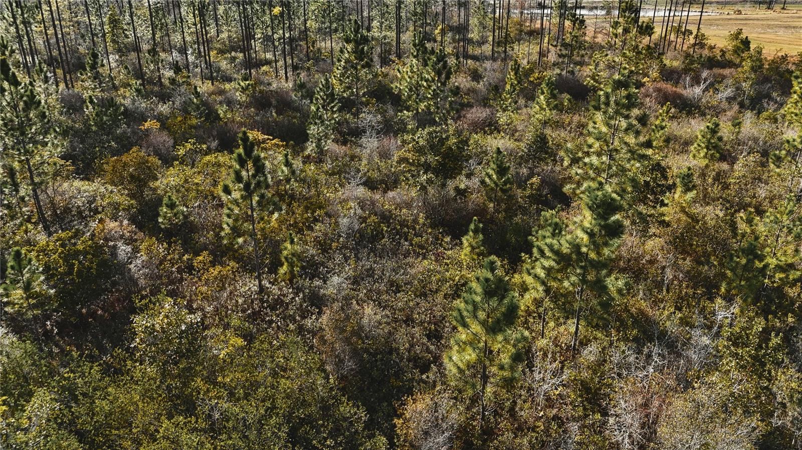 00 W MARKET RD, STARKE, FL, 32091
