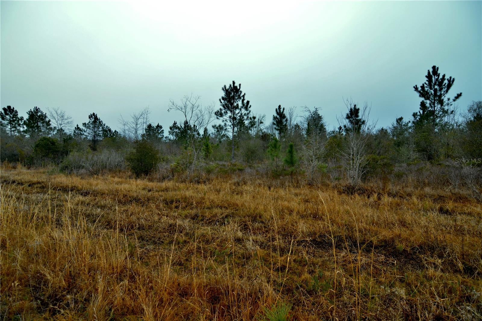 00 W MARKET RD, STARKE, FL, 32091