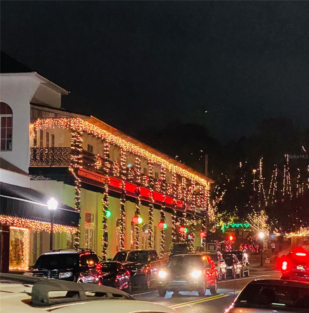 810 N TREMAIN ST, MOUNT DORA, FL, 32757