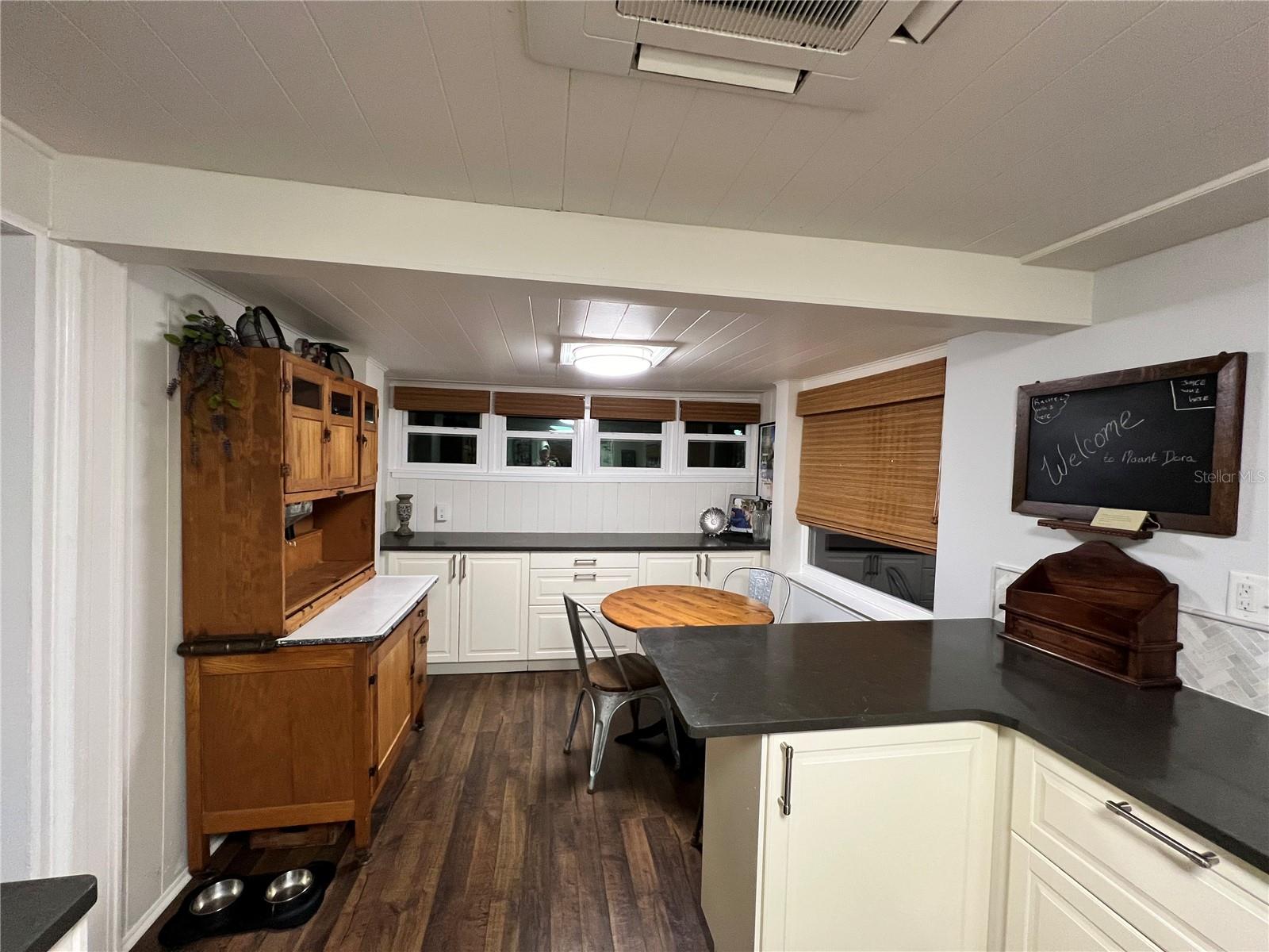 810 N TREMAIN ST, MOUNT DORA, FL, 32757