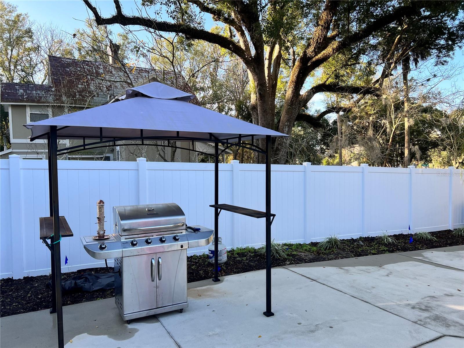 810 N TREMAIN ST, MOUNT DORA, FL, 32757