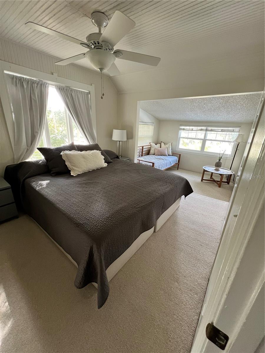 810 N TREMAIN ST, MOUNT DORA, FL, 32757