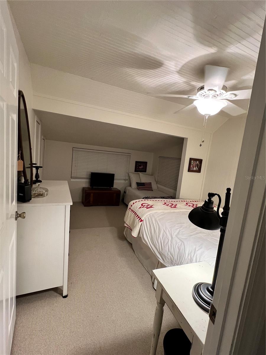 810 N TREMAIN ST, MOUNT DORA, FL, 32757